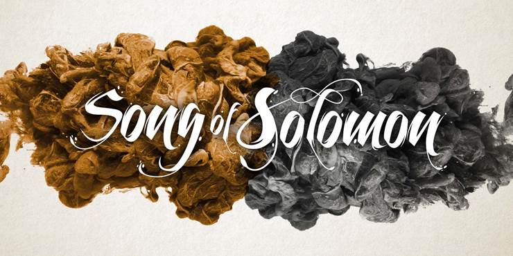 Thumbnail image for "Attraction / Song of Solomon 1:1-6"