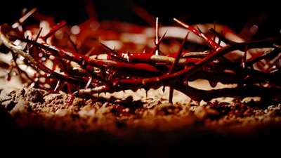 Thumbnail image for “The Crown of Thorns”