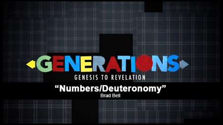 Thumbnail image for "Numbers / Deuteronomy"