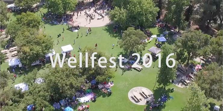 Thumbnail image for "Wellfest 2016"