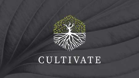 Thumbnail image for "Cultivate Celebration Stories"