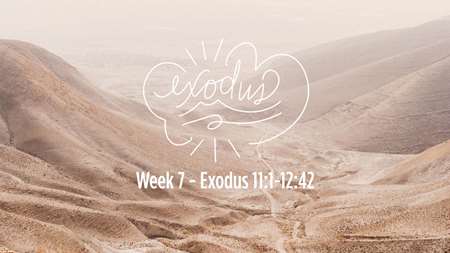 Thumbnail image for "Week 7 - Exodus 11:1-12:42"