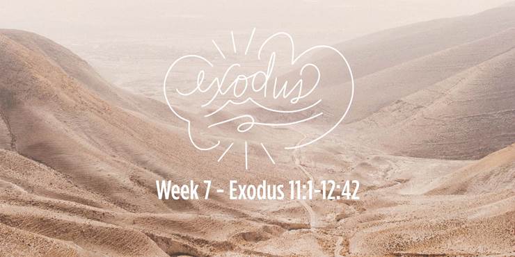Thumbnail image for "Week 7 - Exodus 11:1-12:42"