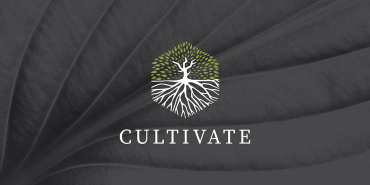 Thumbnail image for "Cultivate #1"