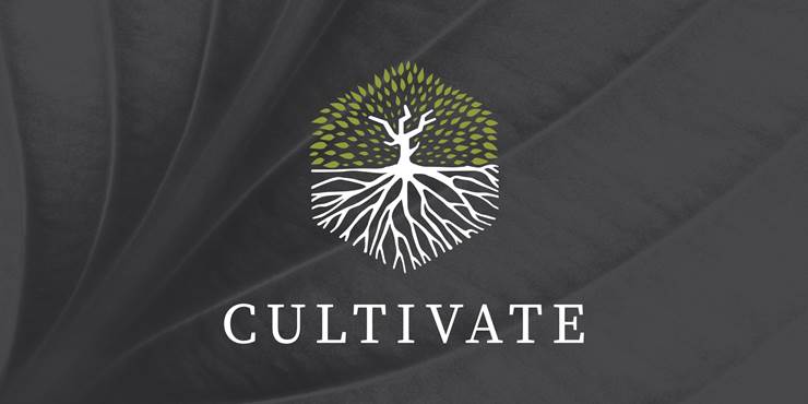 Thumbnail image for "Cultivate Update and Reveal"