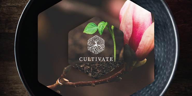 Thumbnail image for "Cultivate Update"