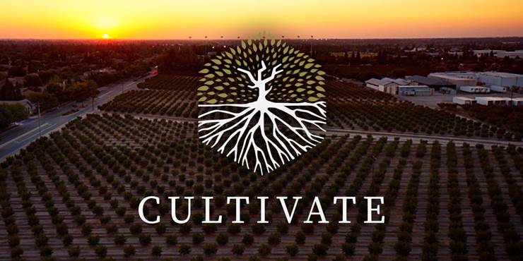 Thumbnail image for "Cultivate Celebration Stories"