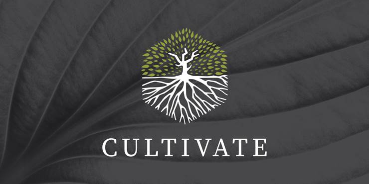 Thumbnail image for "Cultivate 1, 2, 3"
