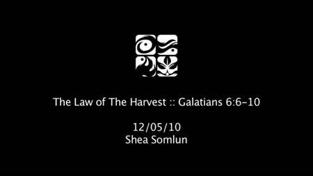 Thumbnail image for "Galatians 6:6-10 / The Law of the Harvest"