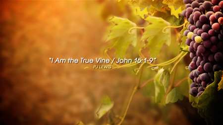 Thumbnail image for "I Am the True Vine / John 15:1-9"