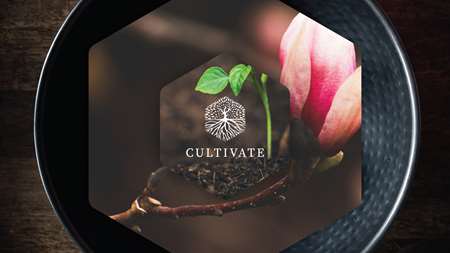 Thumbnail image for "Cultivate: A New Season"