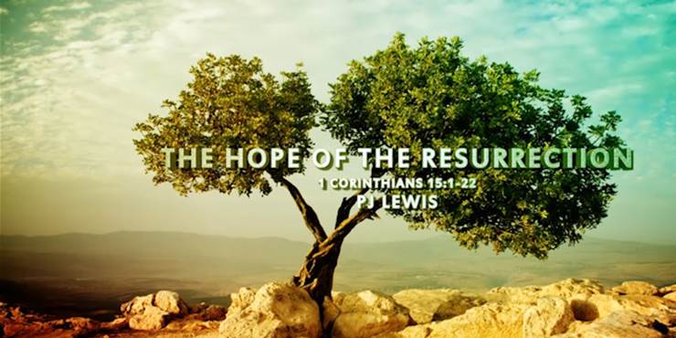 Thumbnail image for "1 Corinthians 15:1-22 / The Hope of the Resurrection"