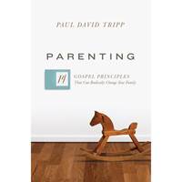 Parenting 14 Gospel Principles That Can Radically Change Your Family - Paul David Tripp