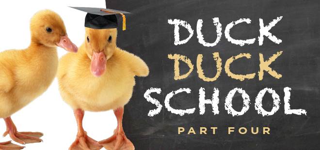 Primary image for "Duck, Duck School Part 4"
