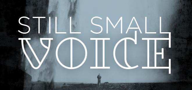 Primary image for "Still Small Voice"
